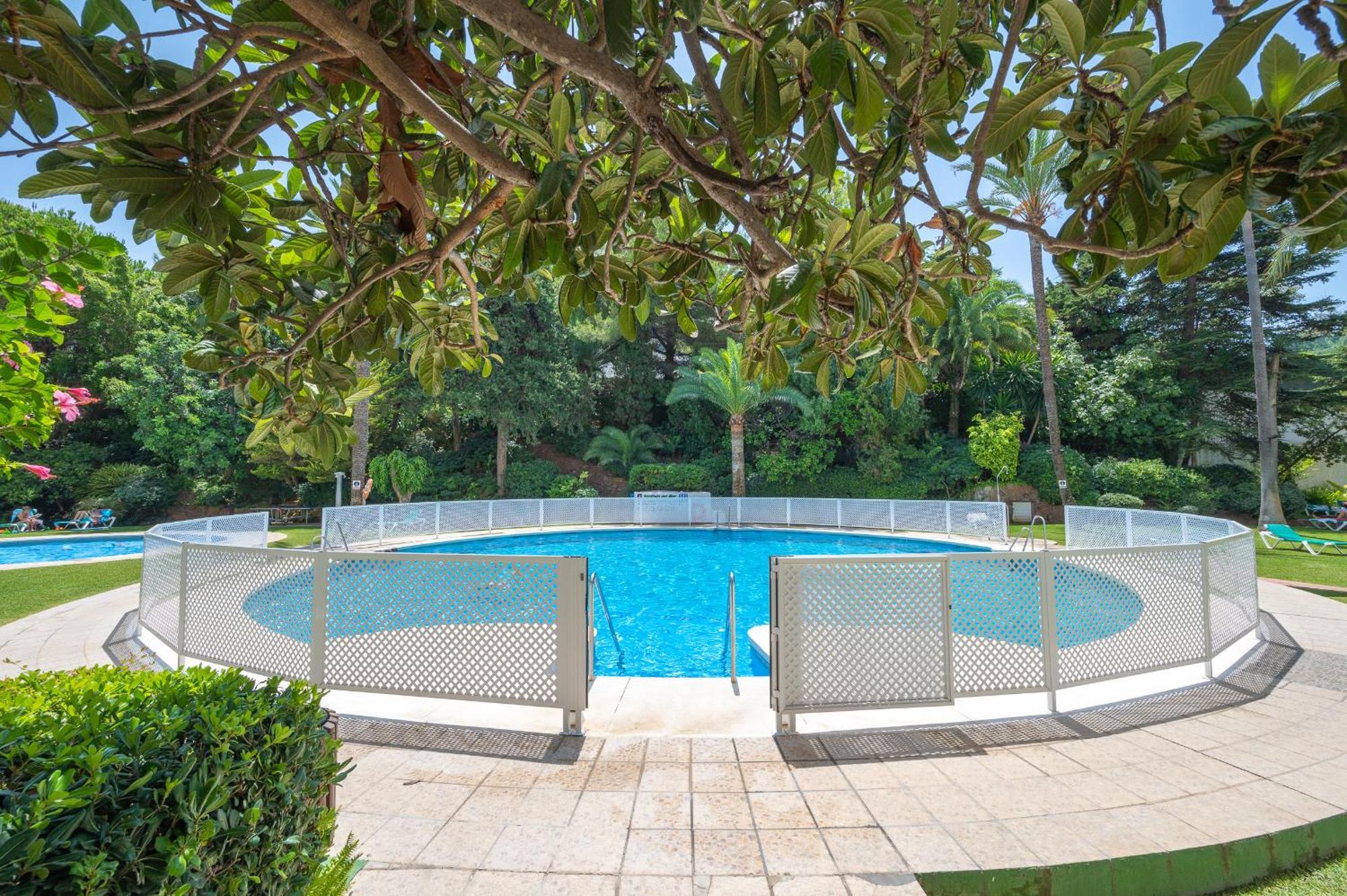 Luxury In With Parking And Pool *
